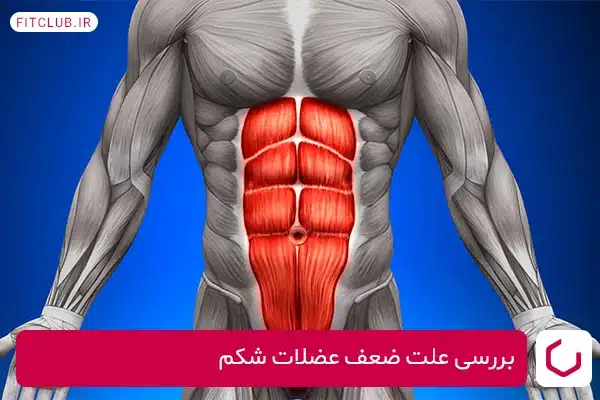 علائم مهم ضعف عضلات شکم