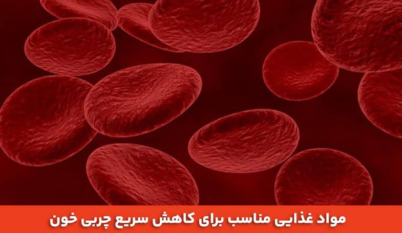 مواد غذایی مناسب برای کاهش سریع چربی خون