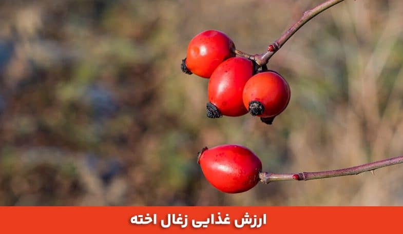 ارزش غذایی زغال اخته