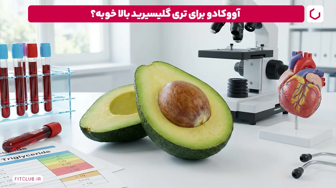 آووکادو؛ قاتل تری گلیسرید بالا | فیت کلاب
