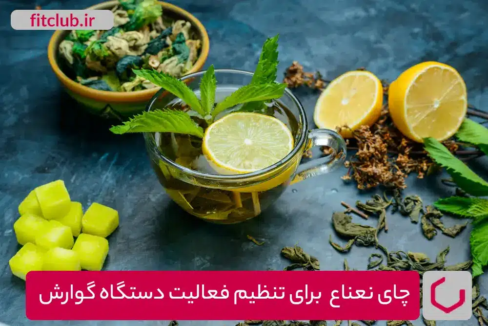 چای نعناع برای تنظیم فعالیت دستگاه گوارش