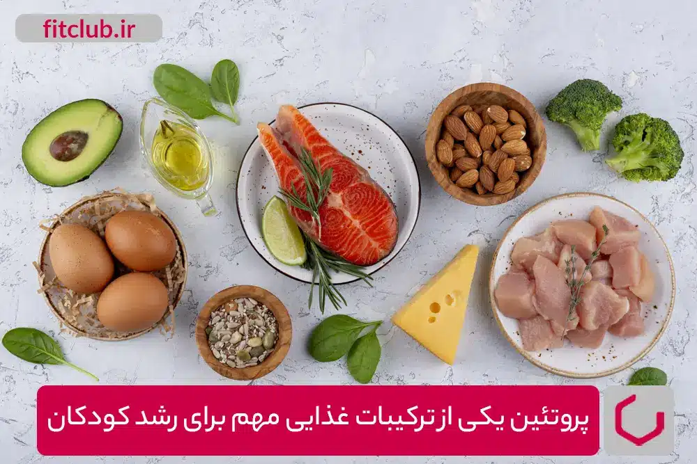 پروتئین یکی از ترکیبات غذایی مهم برای رشد کودکان