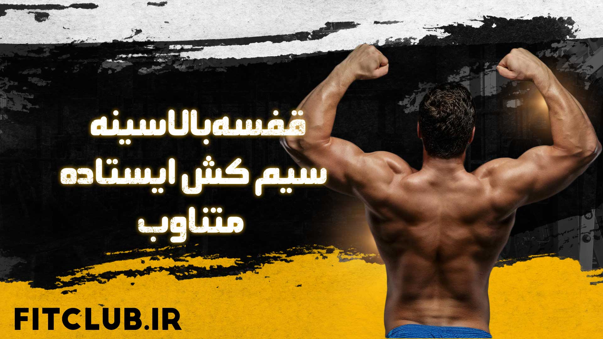 آموزش حرکت ورزشی  قفسه بالاسینه سیم کش ایستاده متناوب