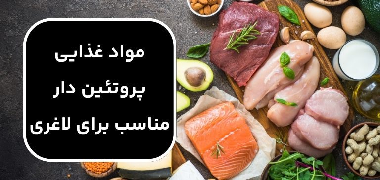 مواد غذایی پروتئین دار مناسب برای لاغری