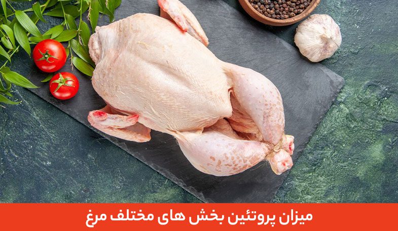 میزان پروتئین بخش های مختلف مرغ 