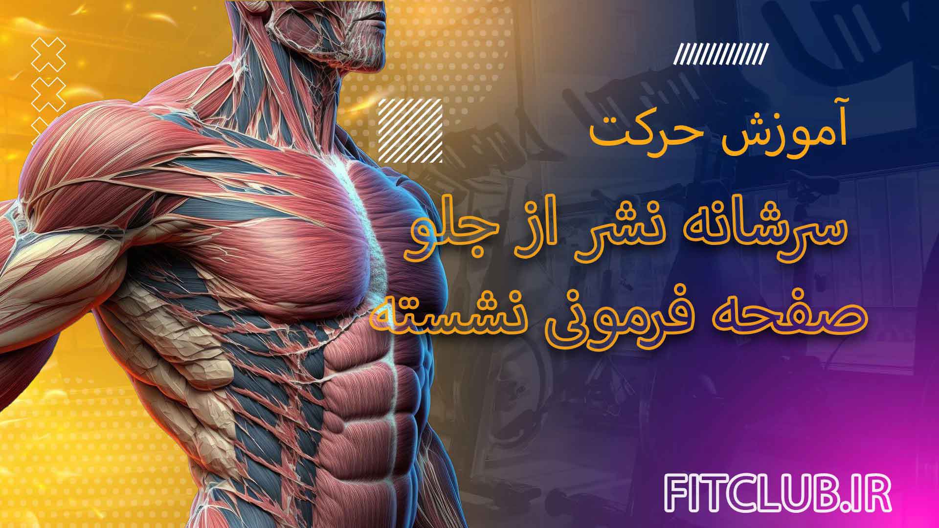 آموزش حرکت ورزشی سرشانه نشر از جلو صفحه فرمونی نشسته