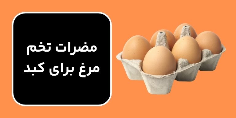 مضرات تخم مرغ برای کبد
