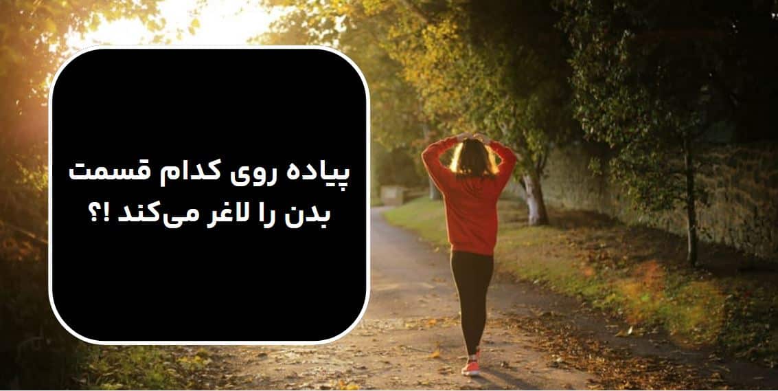 پیاده روی کدام قسمت بدن را لاغر می‌کند !؟