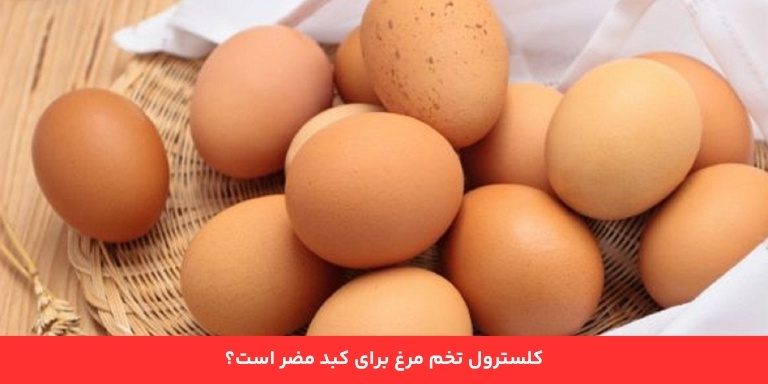 کلسترول تخم مرغ برای کبد مضر است؟