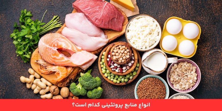 انواع منابع پروتئینی کدام است؟