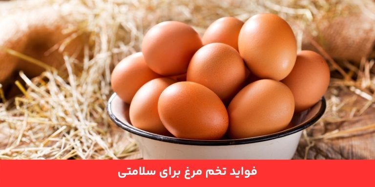 فواید تخم مرغ برای سلامتی 