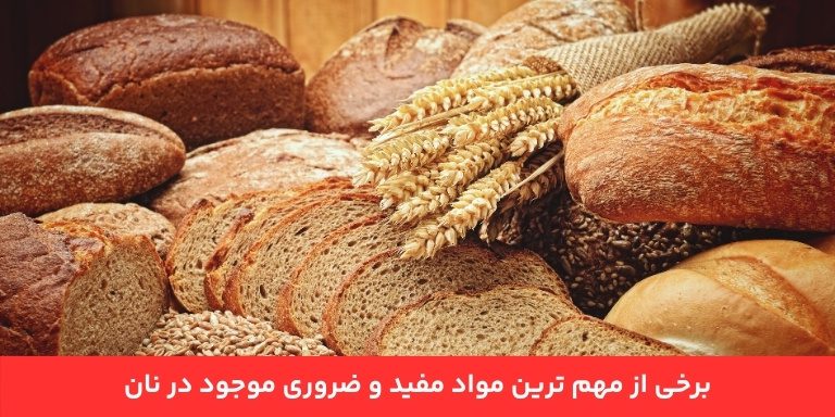 برخی از مهم‌ ترین مواد مفید و ضروری موجود در نان