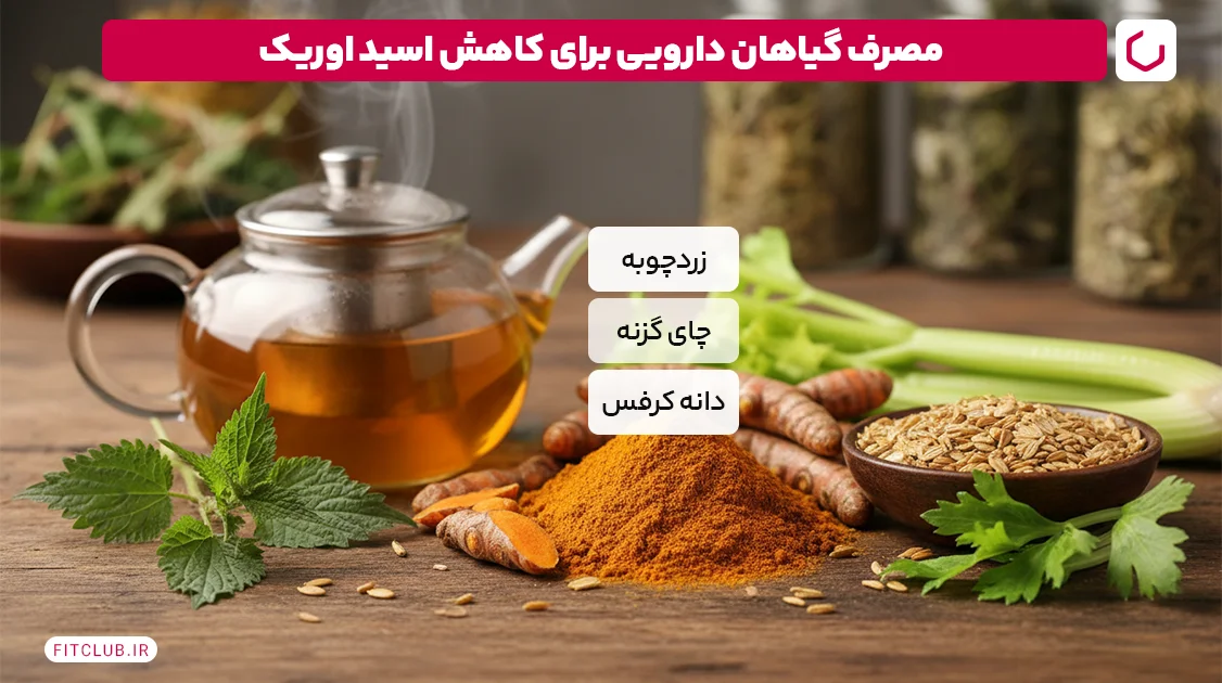 مصرف گیاهان دارویی برای کاهش اسید اوریک | فیت کلاب