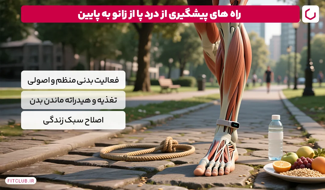 راه های پیشگیری از درد پا از زانو به پایین | فیت کلاب