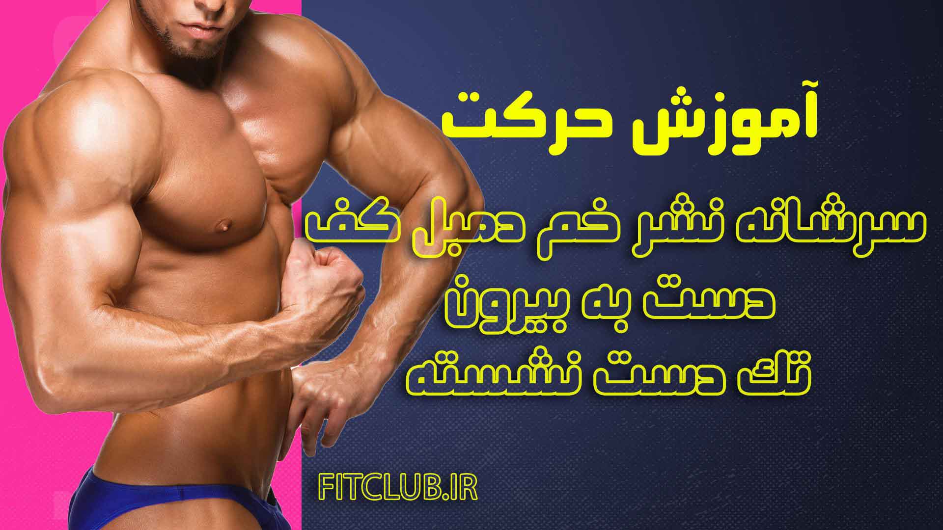 آموزش حرکت ورزشی سرشانه نشر خم دمبل کف دست به بیرون تک دست نشسته