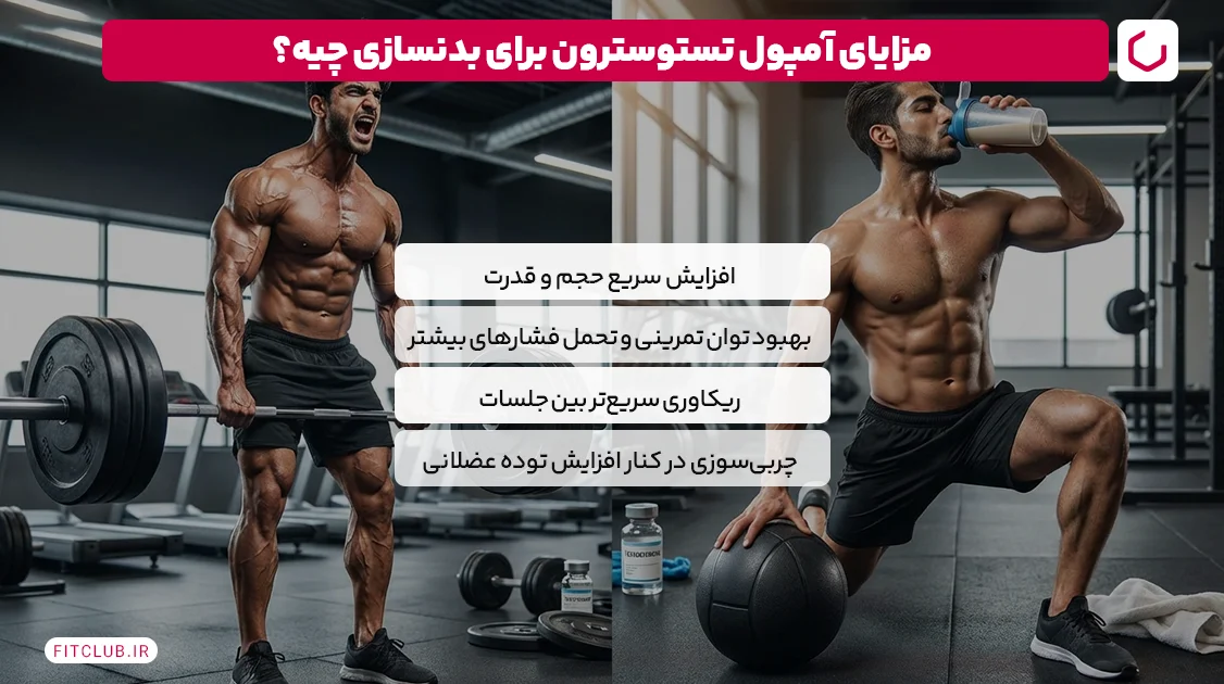مزایای آمپول تستوسترون برای بدنسازی چیه؟ | فیت کلاب