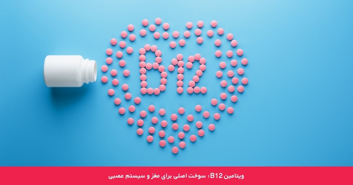 ویتامین B12: سوخت اصلی برای مغز و سیستم عصبی