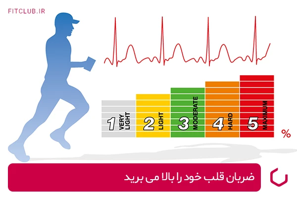 فواید تمرینات بورپی