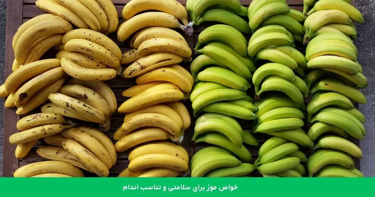 خواص موز برای سلامتی و تناسب اندام