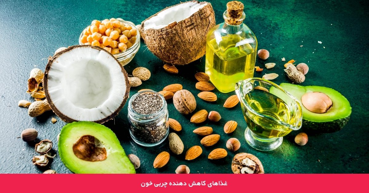 غذاهای کاهش دهنده چربی خون