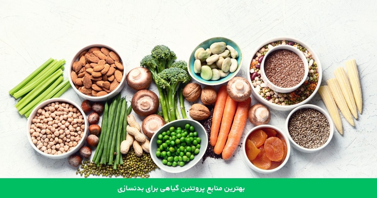 بهترین منابع پروتئین گیاهی برای بدنسازی