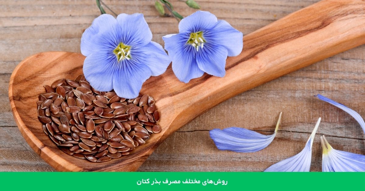 روش‌های مختلف مصرف بذر کتان