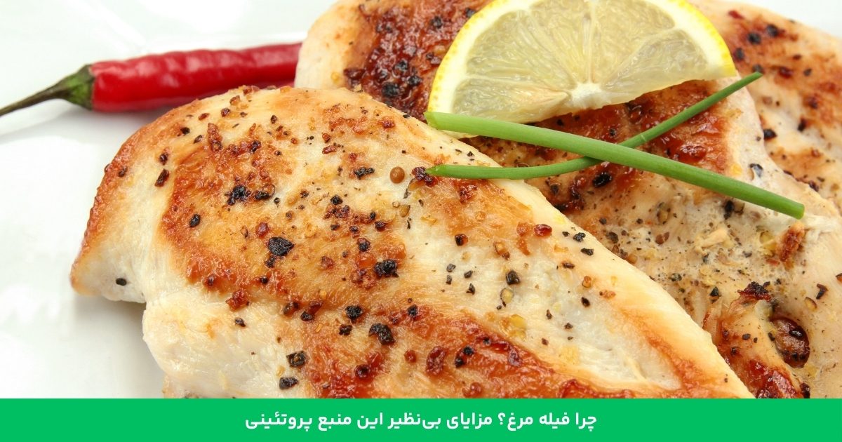 چرا فیله مرغ؟ مزایای بی‌نظیر این منبع پروتئینی