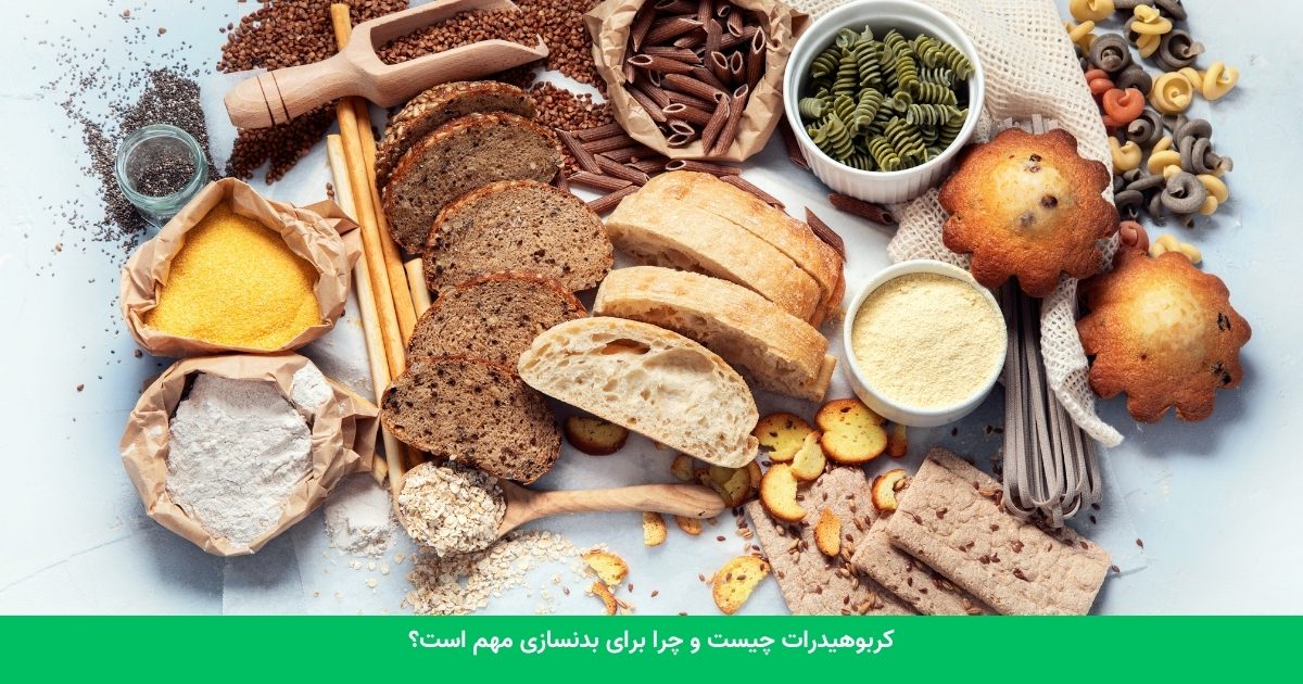 کربوهیدرات چیست و چرا برای بدنسازی مهم است؟