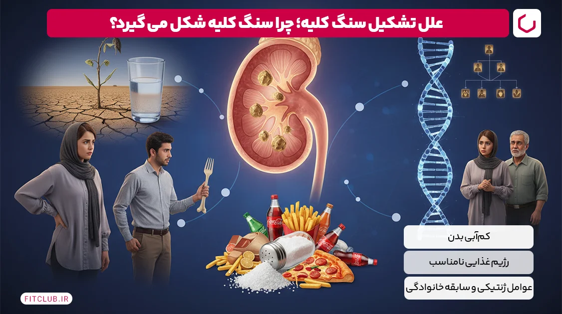 علل تشکیل سنگ کلیه؛ چرا سنگ کلیه شکل می گیرد؟ | فیت کلاب