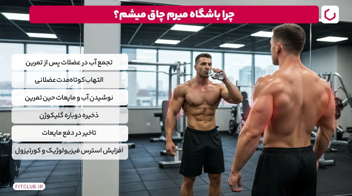 علت افزایش وزن در بدنسازی؛ چرا باشگاه میرم چاق میشم؟ | فیت کلاب