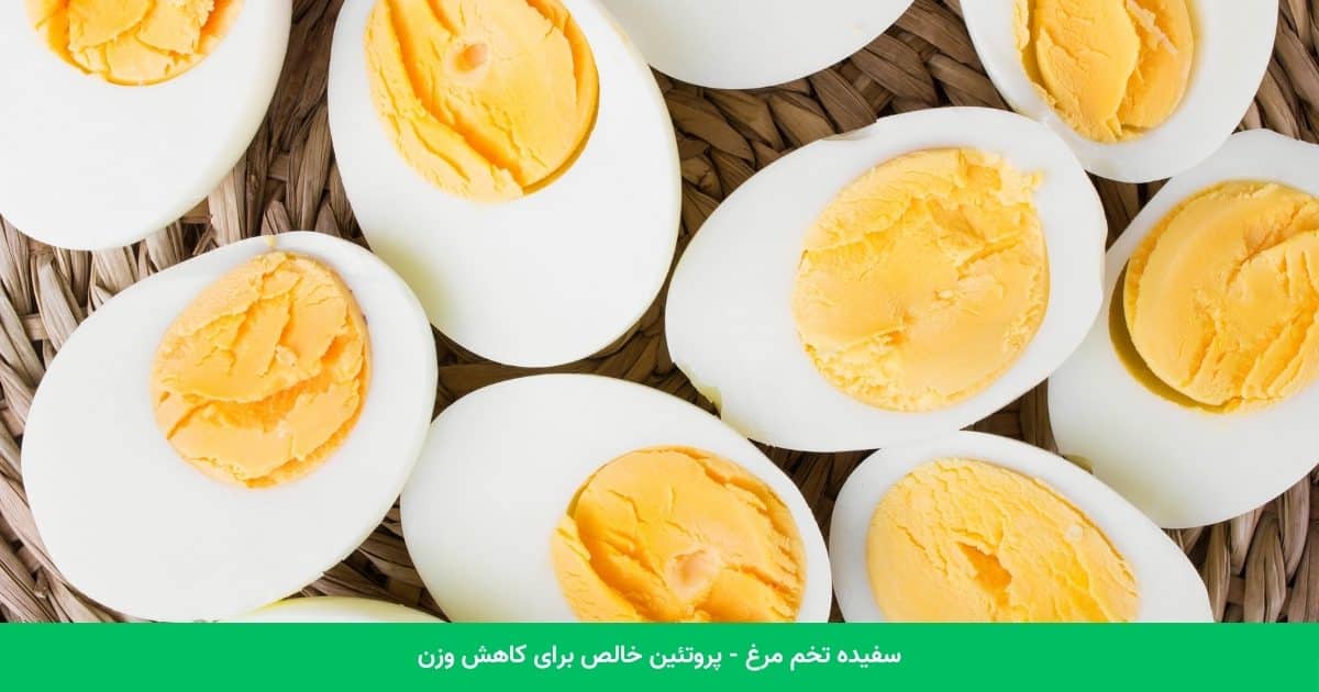 سفیده تخم مرغ - پروتئین خالص برای کاهش وزن