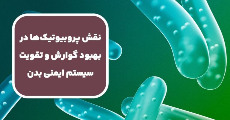 نقش پروبیوتیک‌ها در بهبود گوارش و تقویت سیستم ایمنی بدن