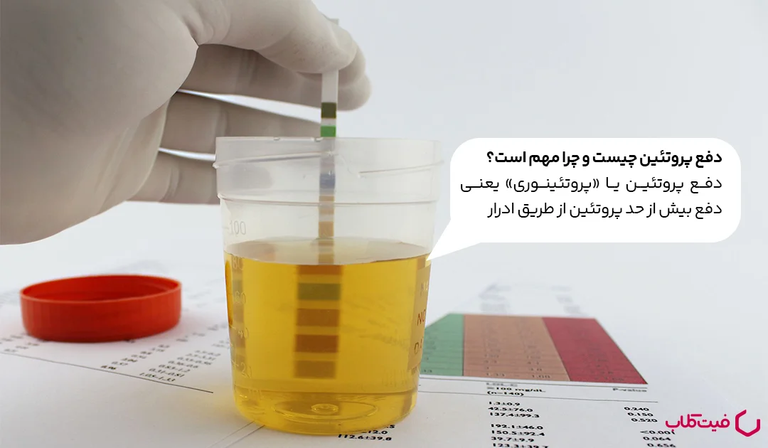 دفع پروتئین چیست و چرا مهم است؟