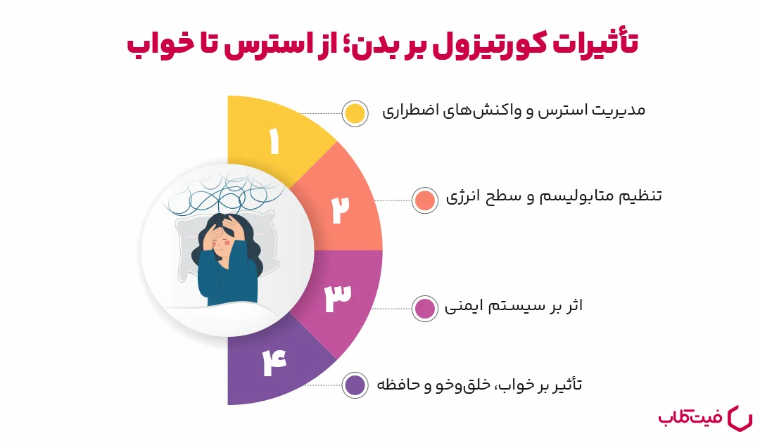 مکانیزم ترشح کورتیزول؛ چگونه بدن ما آن را کنترل می‌کند؟