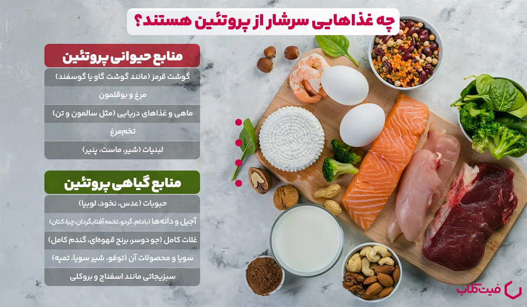 منابع پروتئینی: چه غذاهایی سرشار از پروتئین هستند؟