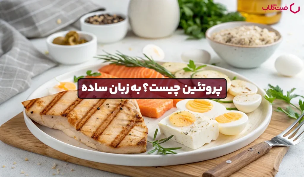 پروتئین چیست؟ 5 نقش مهم پروتئین در بدن (به زبان ساده)