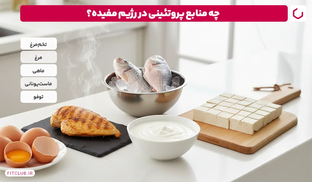 افزایش دریافت پروتئین برای تحریک متابولیسم | فیت کلاب